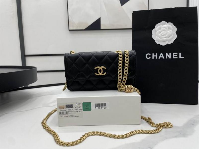 Chanel Handbags 161